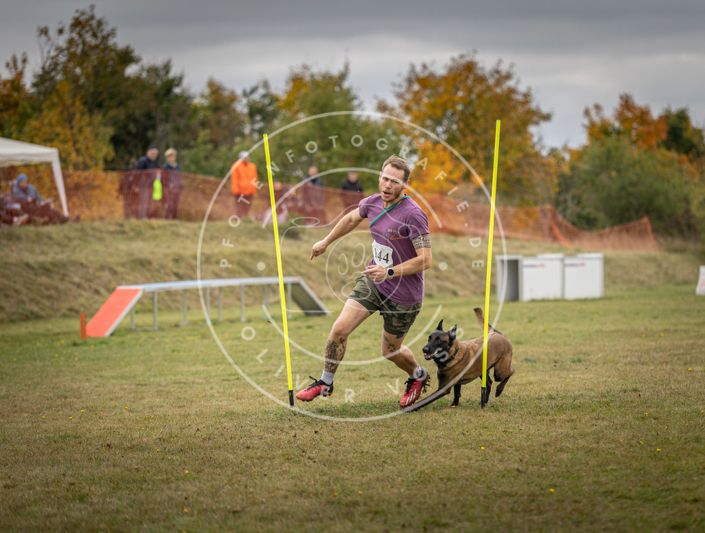 Pfotenfotografie_DV3A8082 | Hundefotografie, Tierfotograf, Pfotenfotografie, Fotoshooting Hund, Hunde Portrait, Hundesport, Hundeportraits, Heideshooting, Hunde, Sportfotograf, Hundefotograf, Turnierhundsport, THS,  - Realisiert mit Pictrs.com