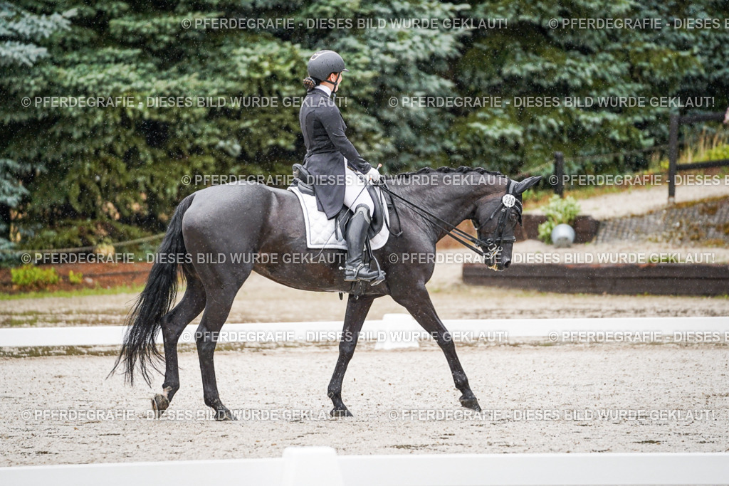 DSC08384 | Pferdegrafie