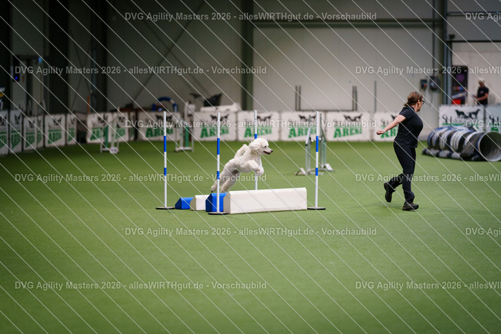 allesWIRTHgut_Tierfotografie-DVG_Agility_Masters_2026-08_13-7R509899 | Professionelle Tierfotografie in Mönchengladbach von Daniel Wirth (allesWIRTHgut). Liebevolle & natürliche Bilder von Hunden & Katzen für unvergessliche Erinnerungen.