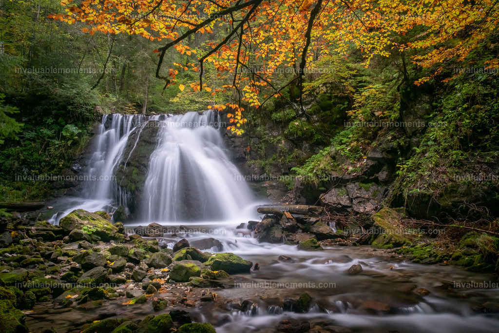 DSCF1837 | invaluablemoments.com - Realisiert mit Pictrs.com