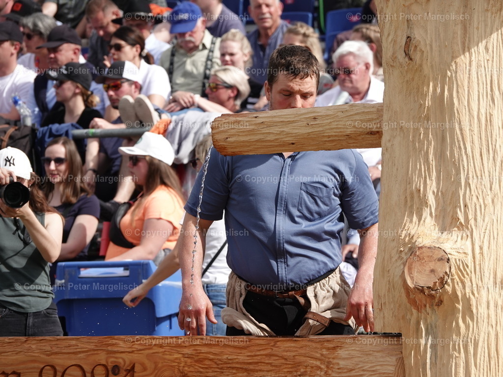 DSC06419 | Schwingen - Realisiert mit Pictrs.com