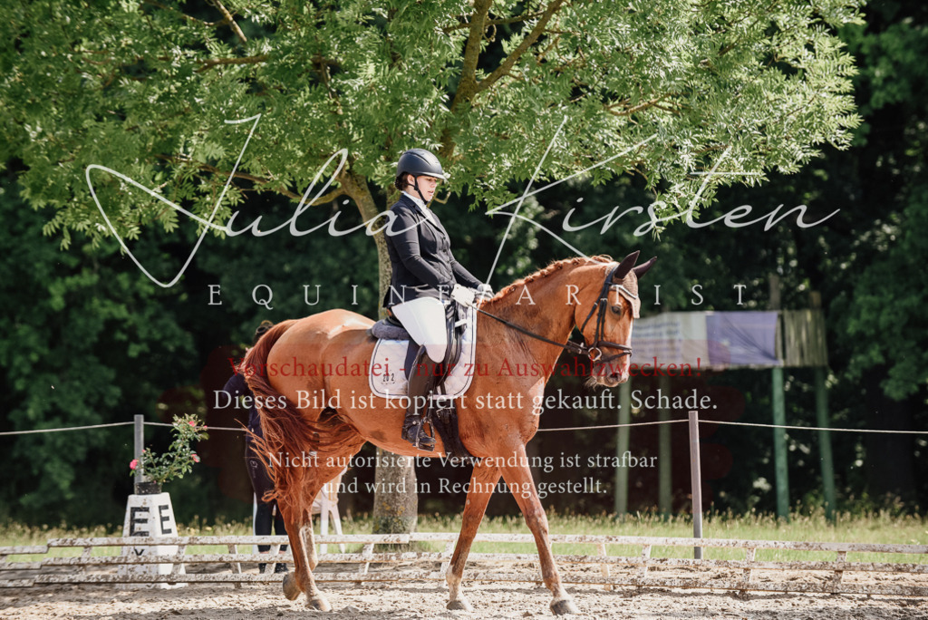 DSC_0293 | Pferde- und Turnierfotografie in Westsachsen. Pferdeportraits, Auftragszeichnungen und intuitive Kunst.