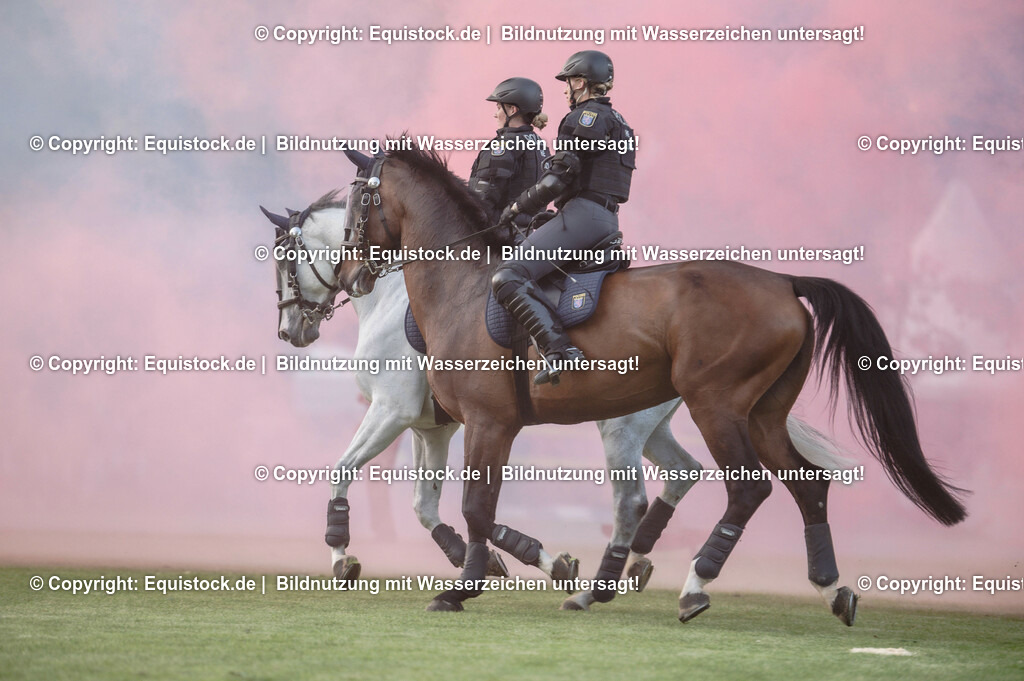 20230526_Pferdenacht_0396 | equistock