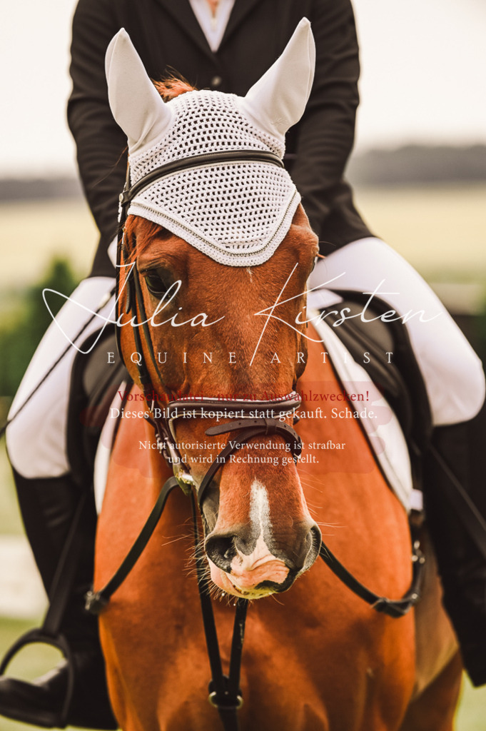 DSC_5041 | Pferde- und Turnierfotografie in Westsachsen. Pferdeportraits, Auftragszeichnungen und intuitive Kunst.