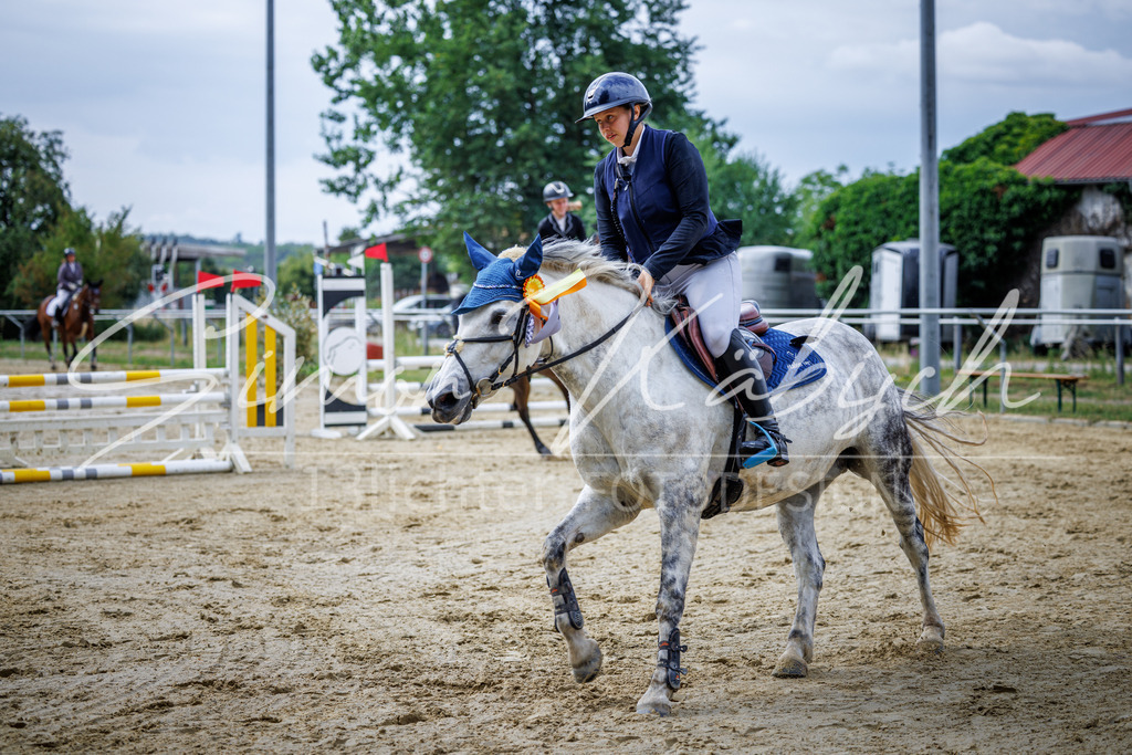 20260705-_3LI4065 | Tierfotografie Pferde, Hunde, Katzen, Haustiere.
Turnierfotografie Reitturniere, Reiten, Springreiten, Dressur in Hanau, dem Main-Kinzig-Kreis und dem Rhein-Main- Gebiet um Frankfurt