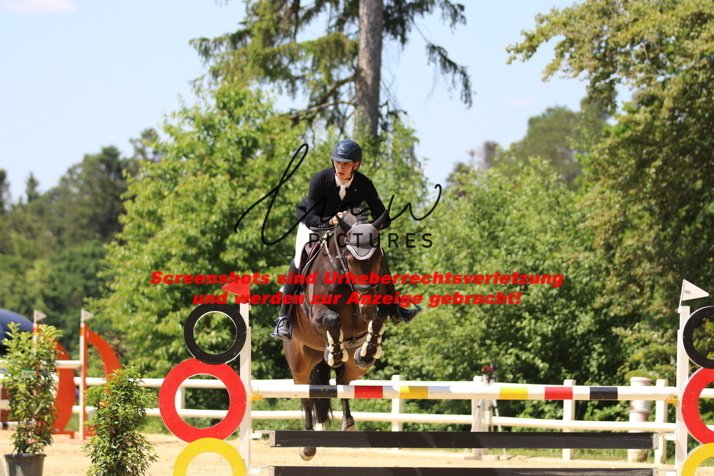 IMG_2517 | lmwpictures - Realisiert mit Pictrs.com