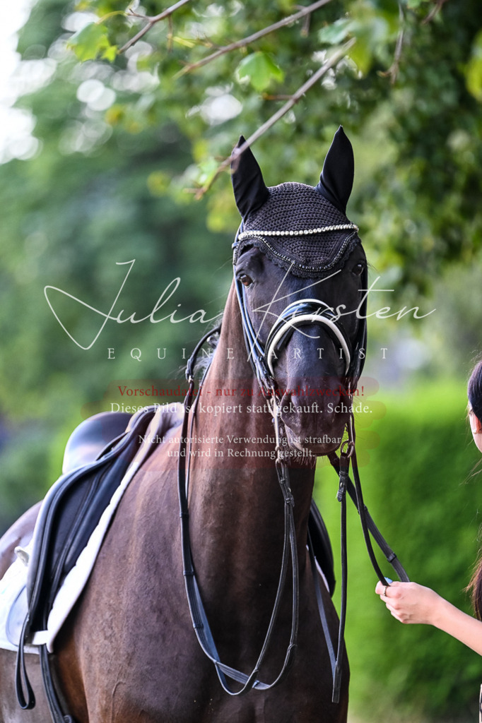 DSC_2779 | Pferde- und Turnierfotografie in Westsachsen. Pferdeportraits, Auftragszeichnungen und intuitive Kunst.
