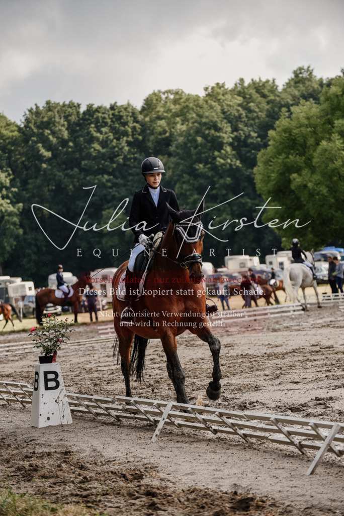 DSC_8243 | Pferde- und Turnierfotografie in Westsachsen. Pferdeportraits, Auftragszeichnungen und intuitive Kunst.