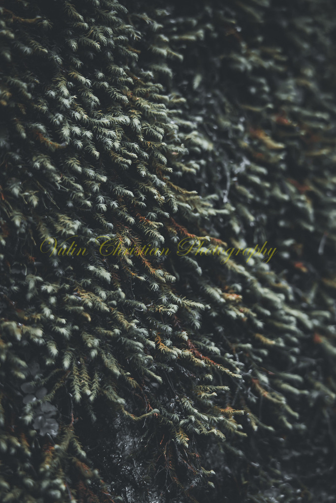 P 69 | Christian Vulin  - Realisiert mit Pictrs.com