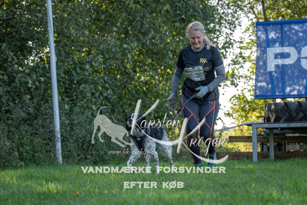 1046--6 | kk-dogfotos