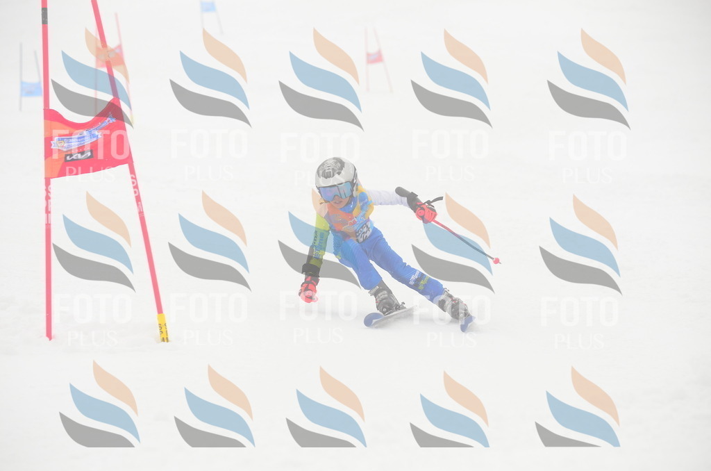 C1576 | holidayphoto