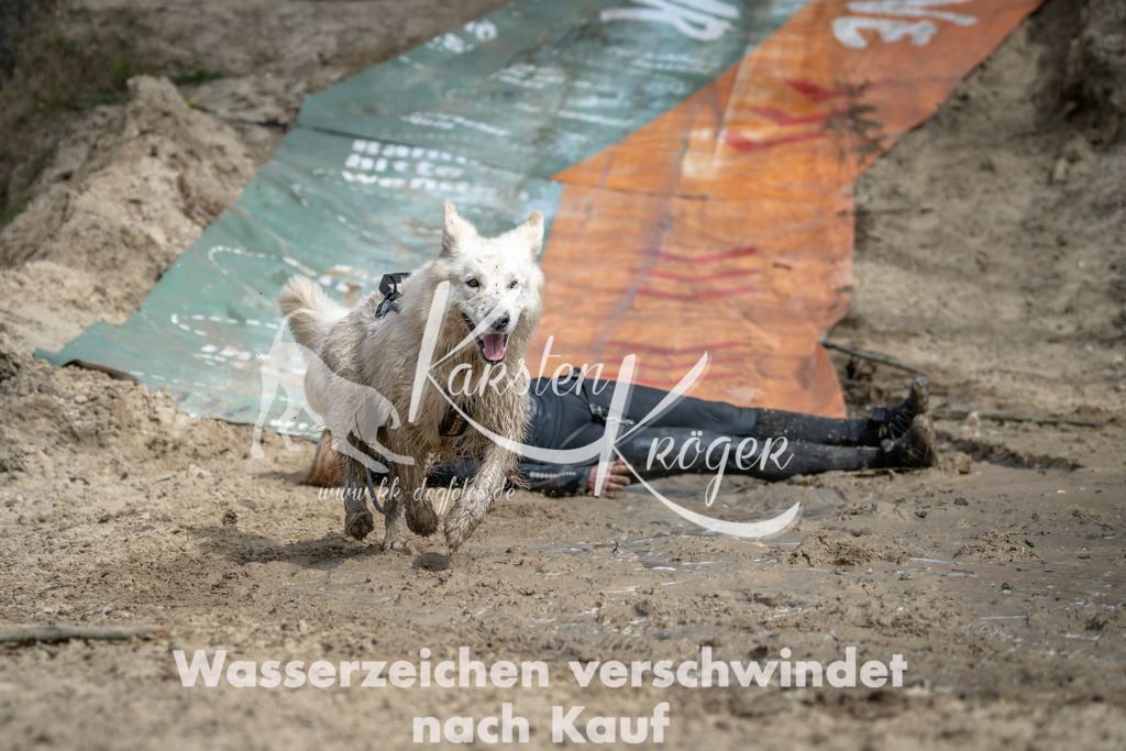 1208DSC_0905 | kk-dogfotos