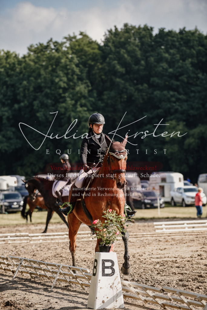 DSC_8527 | Pferde- und Turnierfotografie in Westsachsen. Pferdeportraits, Auftragszeichnungen und intuitive Kunst.