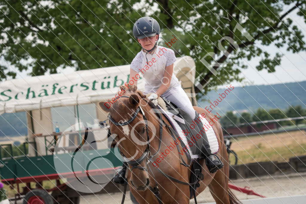ND5_8000 | Sport-, Event- und Tierfotos in Profiqualität. Einfach auswählen, bestellen und herunterladen. Dein Moment – perfekt festgehalten.