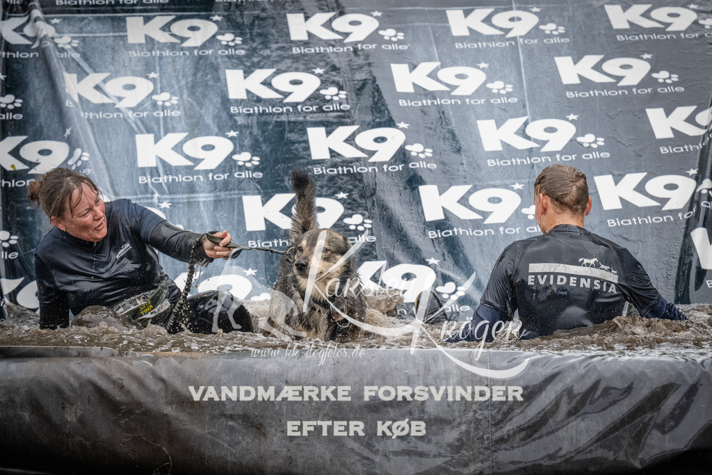 1132_ZZ92885 | kk-dogfotos