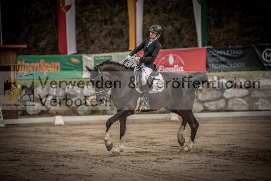 DSC_8206 | equestrian-live-com