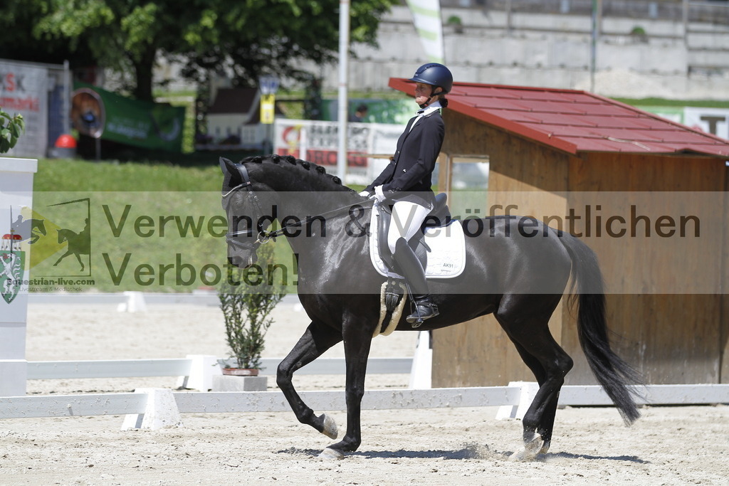 _MG_4747 | equestrian-live-com
