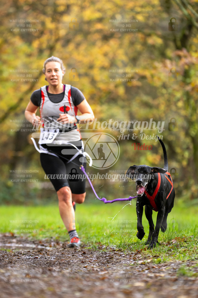 MompixPhotography_Bischwiller23_Canicross-128 | PayLife