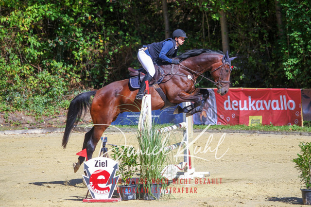 DKP43109 | Deine Turnierfotos vom Reitturnier online kaufen: Dressur, Springen & Siegerehrung. Professionelle Pferdefotografie aus dem Rheinland – als Download & Print.Alternative: Turnierfotograf für den Pferdesport: Finde deine Fotos von Dressur- und Springturnier