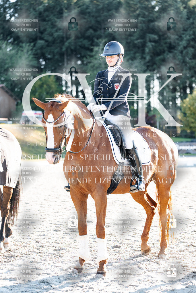 CK907261 | Turnierfotografie Pferdefotografie Trier Rheinland-Pfalz Pferdesport Reitsport Tierfotografie Sportfotografie Pferdevideo Pferdevideografie Equestrianvideography equestrianphotography  - Realisiert mit Pictrs.com