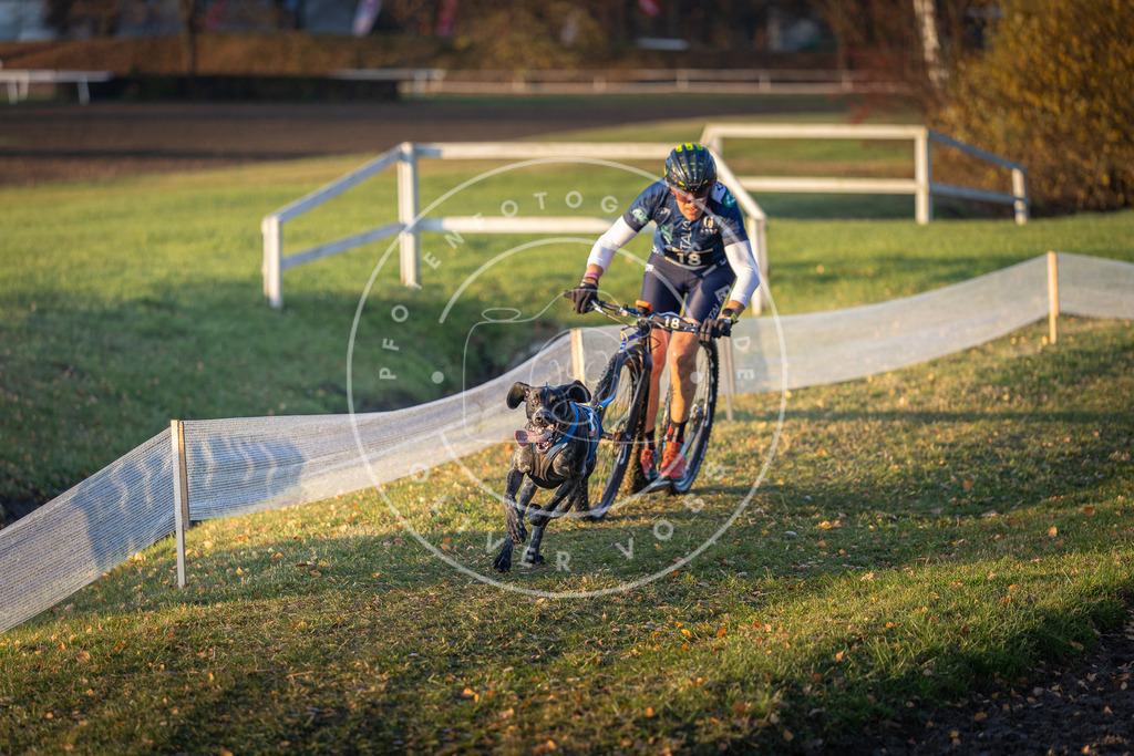 CaniXpix_DV3A9620 | Hundefotografie, Tierfotograf, Pfotenfotografie, Fotoshooting Hund, Hunde Portrait, Hundesport, Hundeportraits, Heideshooting, Hunde, Sportfotograf, Hundefotograf, Turnierhundsport, THS,  - Realisiert mit Pictrs.com