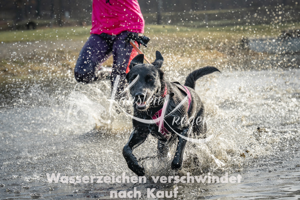 0921_ZZ91271 | kk-dogfotos