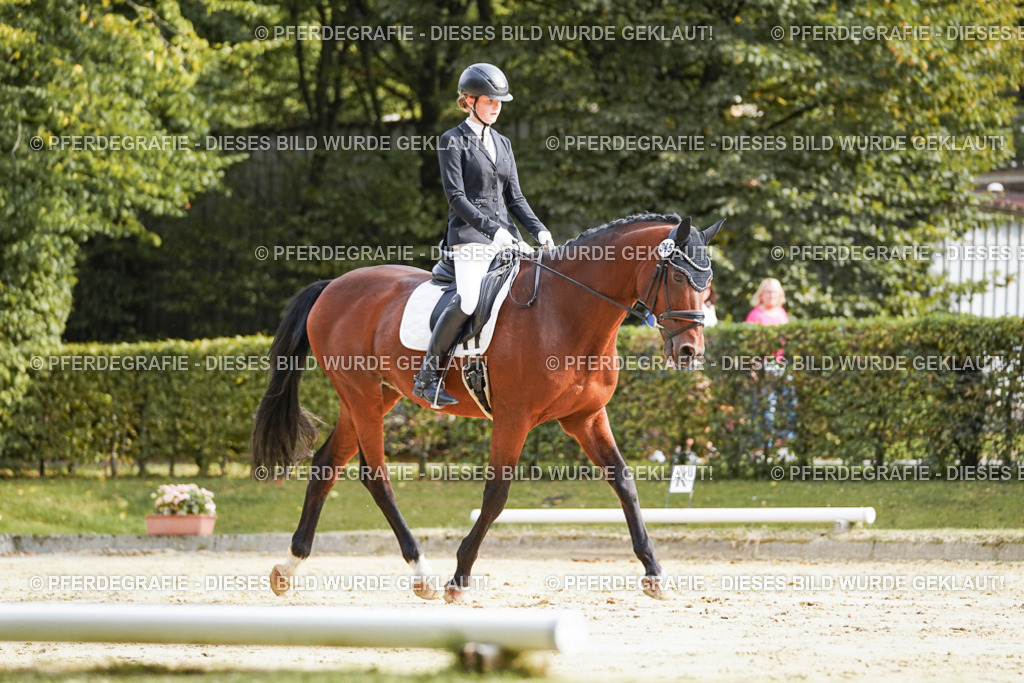 DSC04208 | Pferdegrafie