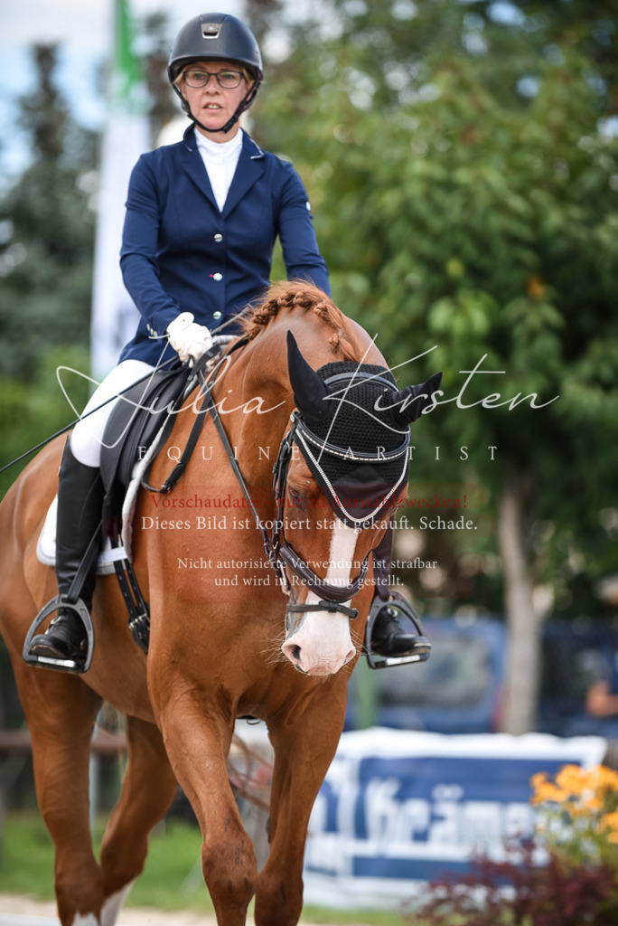 DSC_9229 | Pferde- und Turnierfotografie in Westsachsen. Pferdeportraits, Auftragszeichnungen und intuitive Kunst.