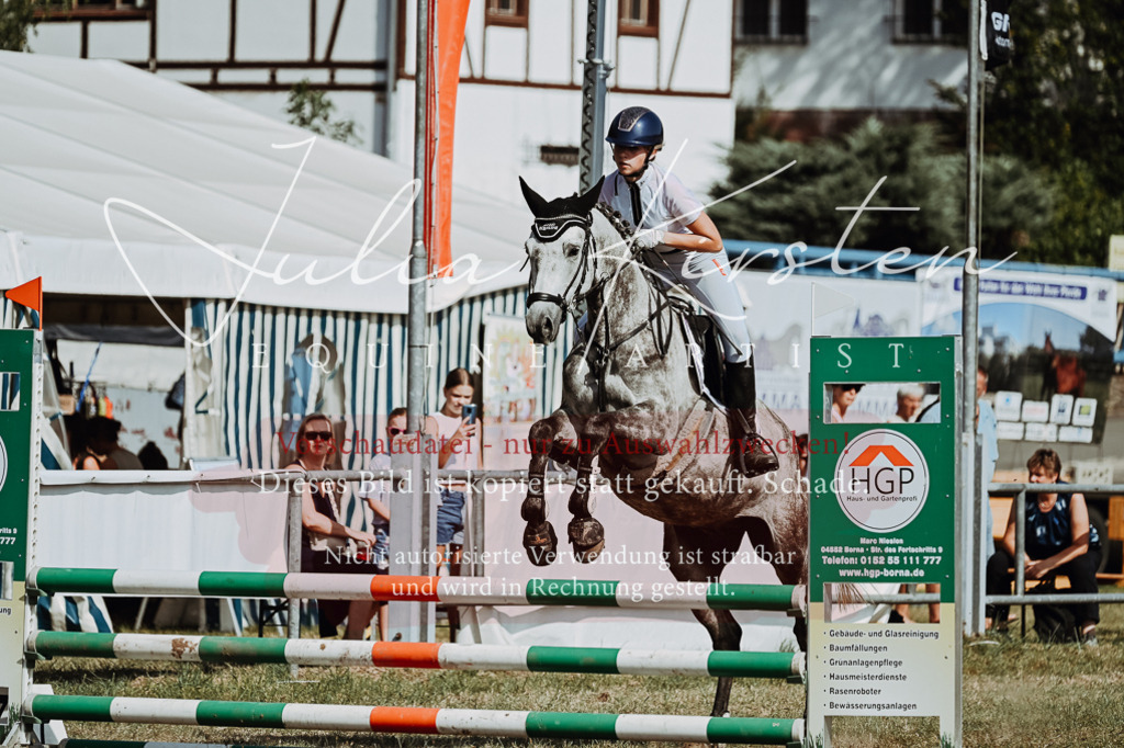 DSC_9326 | Pferde- und Turnierfotografie in Westsachsen. Pferdeportraits, Auftragszeichnungen und intuitive Kunst.
