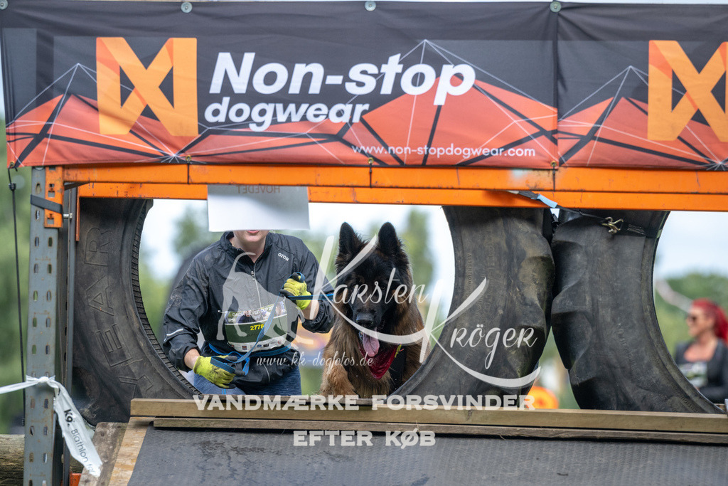 1213_ZZ93697 | kk-dogfotos