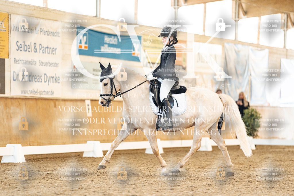 CK907563 | Turnierfotografie Pferdefotografie Trier Rheinland-Pfalz Pferdesport Reitsport Tierfotografie Sportfotografie Pferdevideo Pferdevideografie Equestrianvideography equestrianphotography  - Realisiert mit Pictrs.com