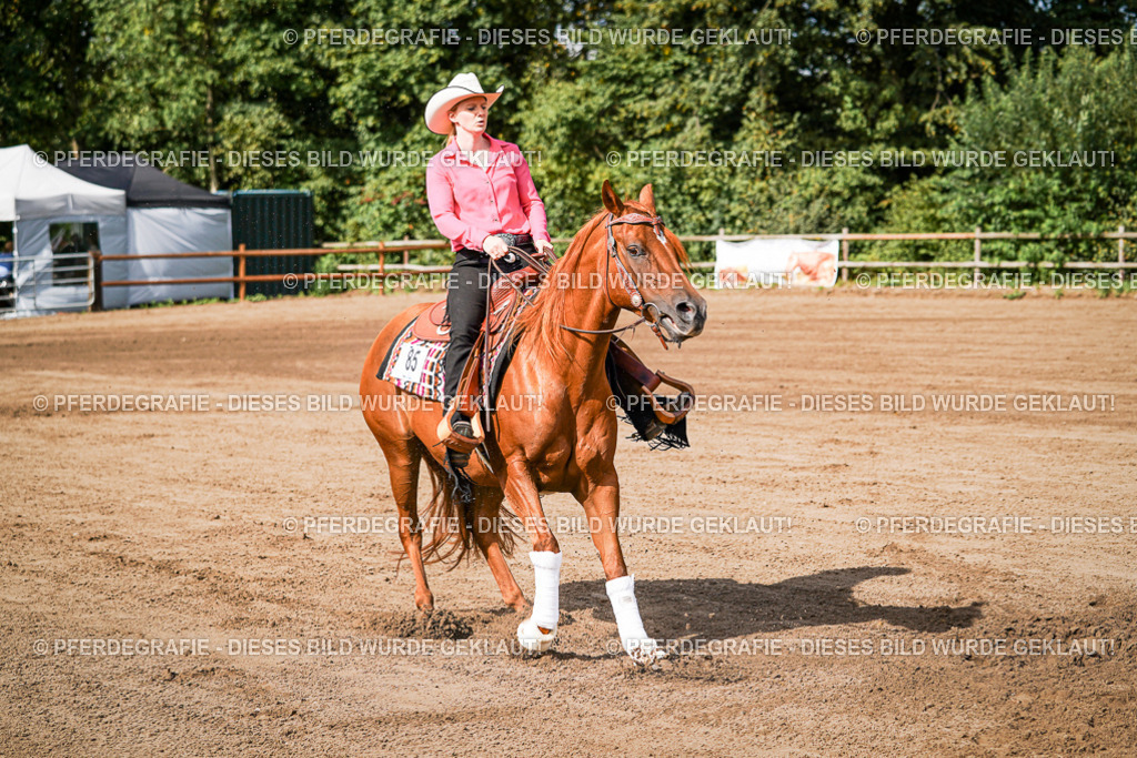 DSC09452 | Pferdegrafie