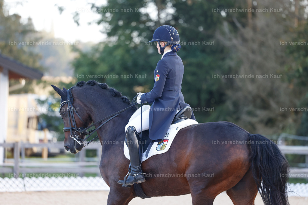 09_1-056-DRESSUR  S_  -StoibPH-5439 | working equitationturnier fotograf videograf stoibphotography marixx film working equitation deutschland reitsport turnierfotografie eventfotografie equestrian events