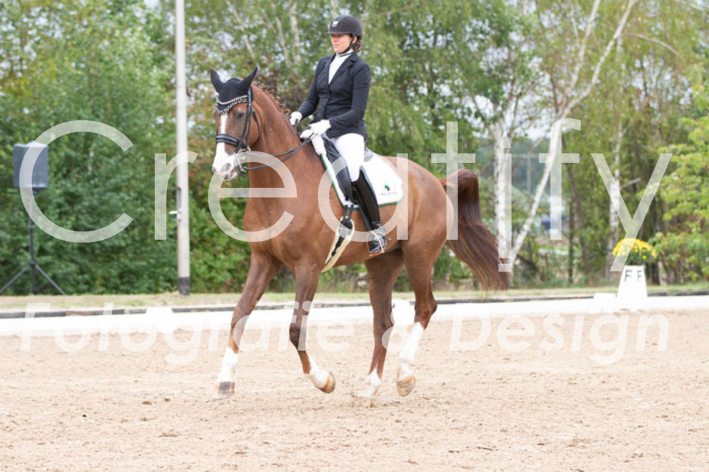 IMG_7210 | Creatify Fotografie