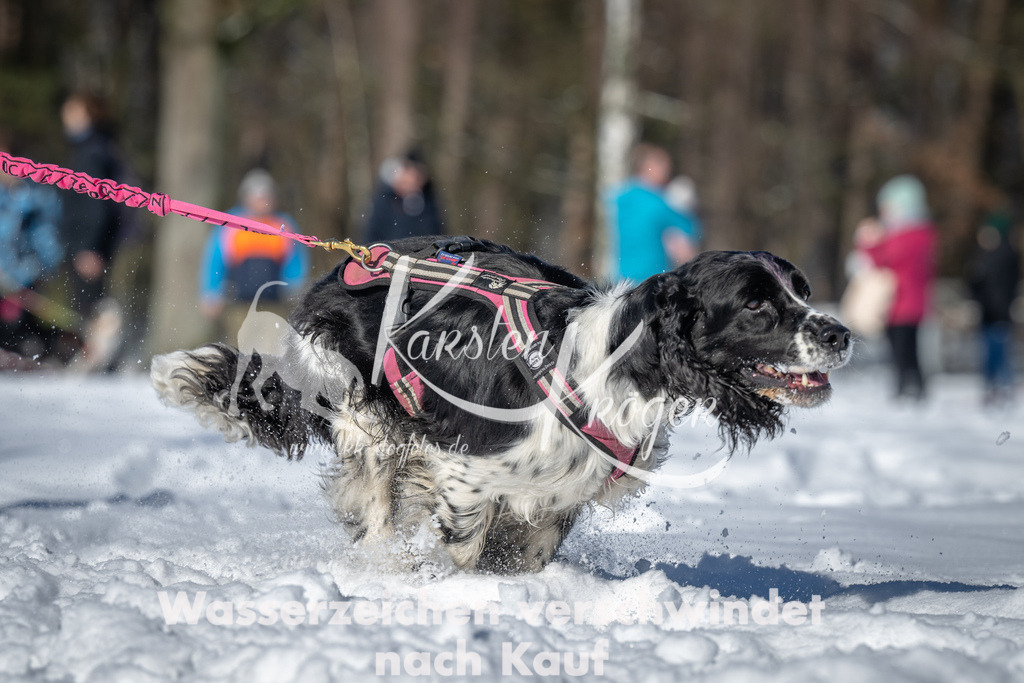 1102_ZZ94457-2 | kk-dogfotos