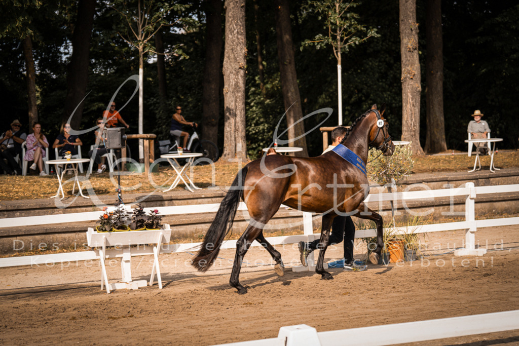 FrER00248 | Leoni Ertmer Photography - Realisiert mit Pictrs.com