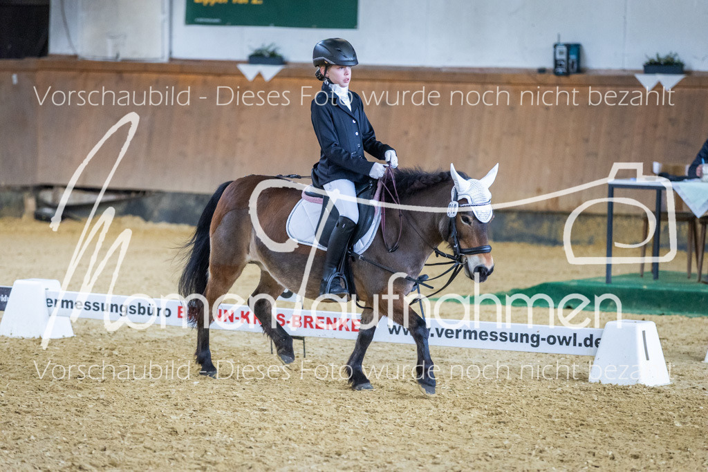 Sth-WBO25-RWBST-053 | MomenTaufnahmen Pferdesportfotos