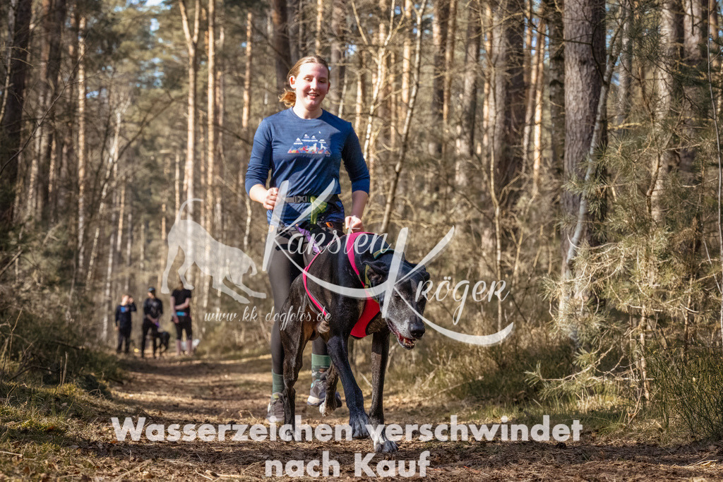 1247_ZZ94269-Bearbeitet | kk-dogfotos