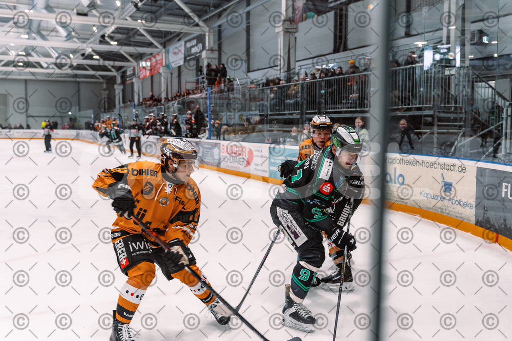 Alligators_vs_Fuessen_21.11.2025-081 | Höchstadt Alligators Fotogalerie: Eishockey-Action aus Franken. Professionelle Spielfotos, Portraits & Stadionbilder zum Download. Jetzt entdecken! - Realisiert mit Pictrs.com