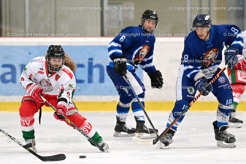 BST_9284 | hockey sports photos, Pressefotos, Sportfotos, hockey247, win 2day icehockeyleague, Handball Austria, Floorball Austria, ÖVV, Kärntner Eishockeyverband, KEHV, KFV, Kärntner Fussballverband, Österreichischer Volleyballverband, Alps Hockey League, ÖFB, 