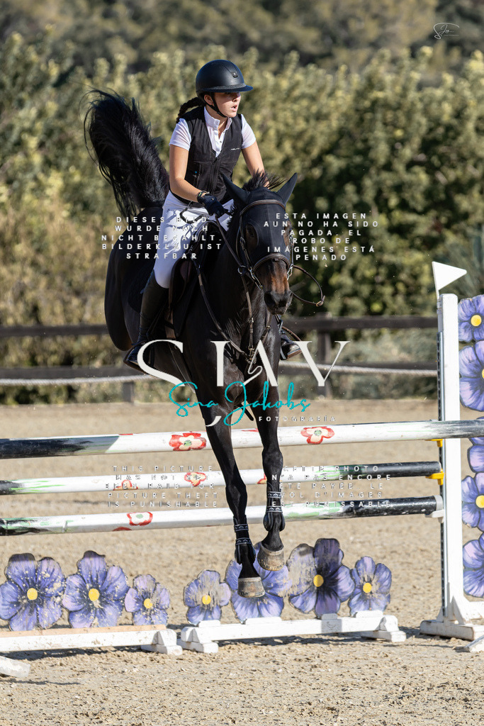 IMG_0130 | s-jay-photography - Realisiert mit Pictrs.com