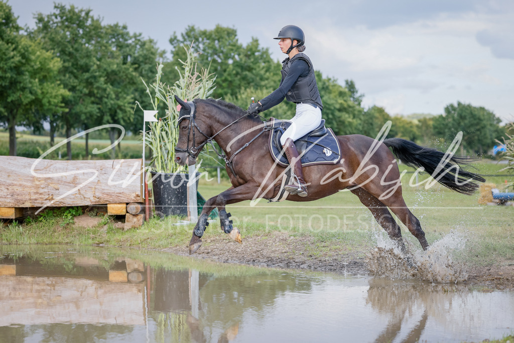 20250905-_3LI1660 | Tierfotografie Pferde, Hunde, Katzen, Haustiere.
Turnierfotografie Reitturniere, Reiten, Springreiten, Dressur in Hanau, dem Main-Kinzig-Kreis und dem Rhein-Main- Gebiet um Frankfurt