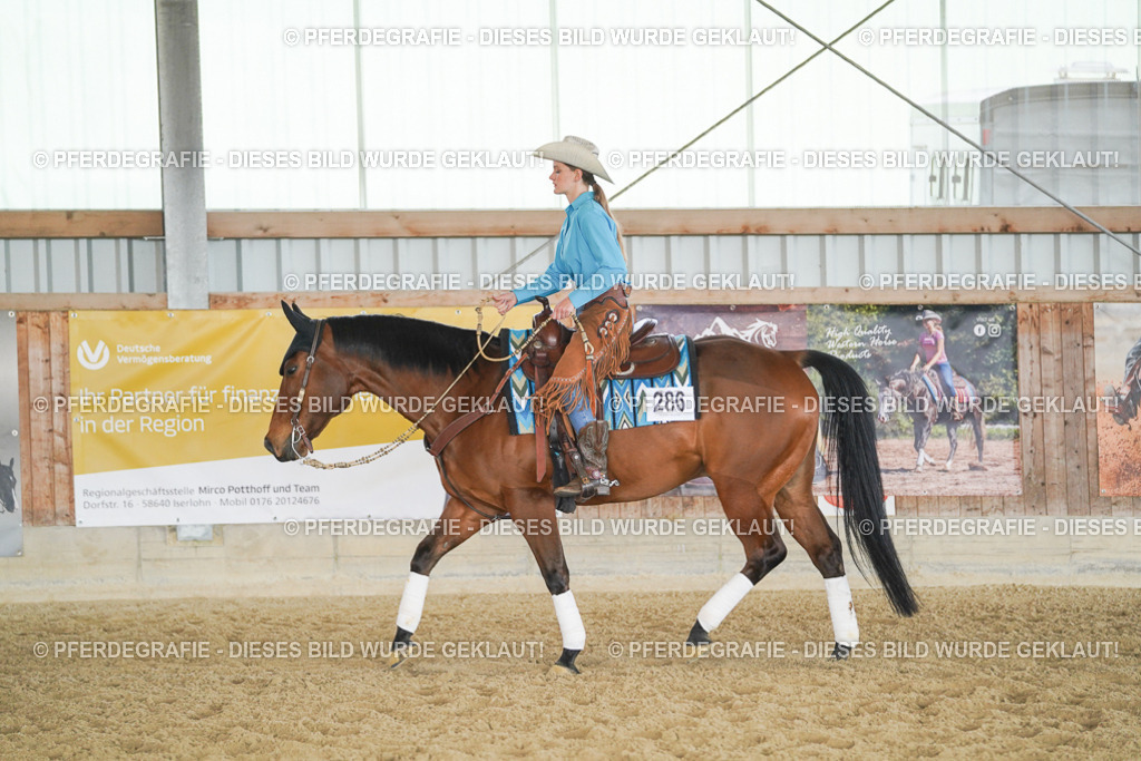 DSC00834 | Pferdegrafie