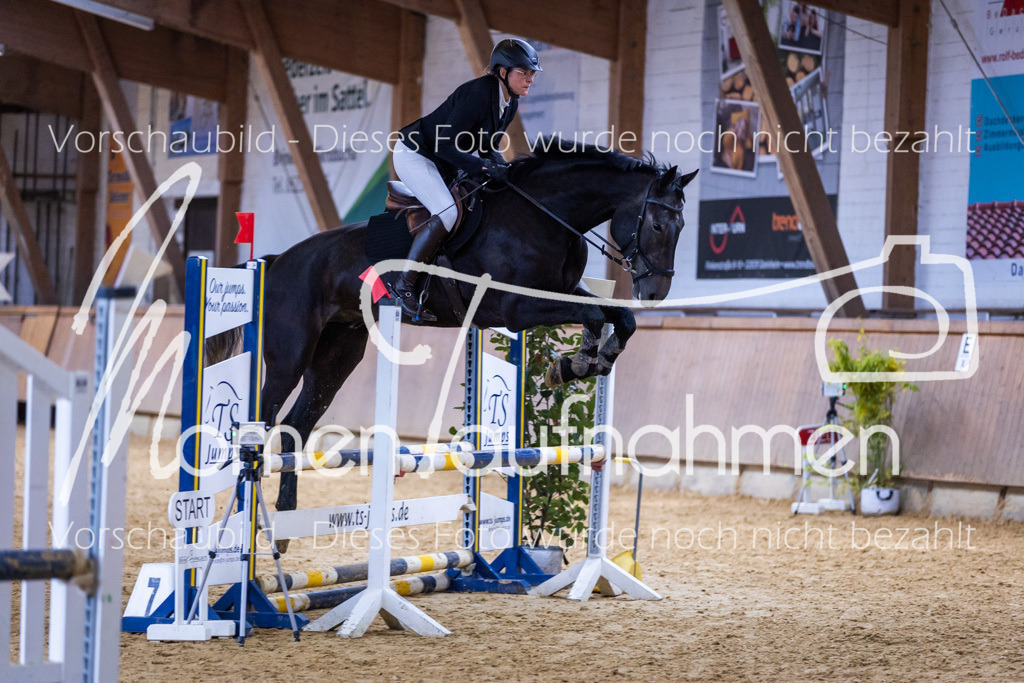 Sth-Gewöhnung-008 | MomenTaufnahmen Pferdesportfotos