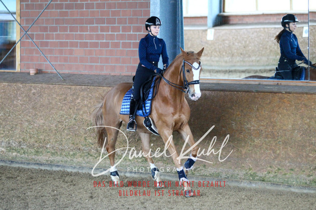 DKP42653 | Turniersportfotografie; Pferdefotografie; Dressurfotografie