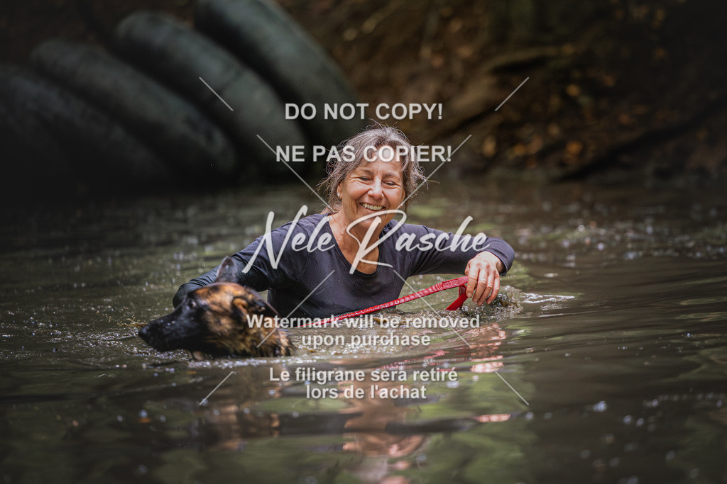 nelerasche_SaWingst1300-1400_08 | nelerasche