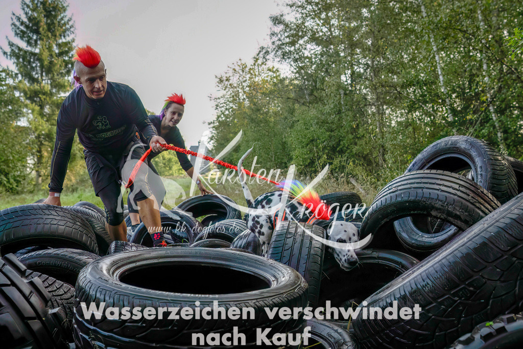 1012_ZZ93881-Bearbeitet | kk-dogfotos
