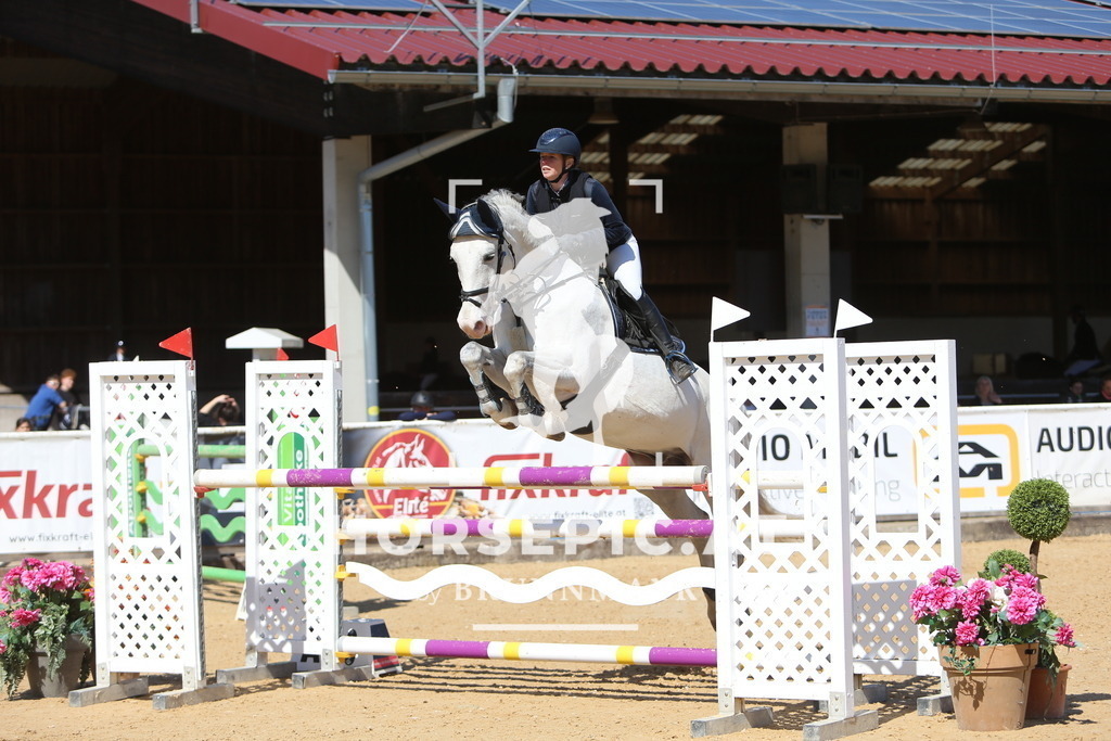 DL2Q5268 | Willkommen bei Brunnmayr - Design & Fotografie – Ihrem Spezialisten für Reitturniere und Pferdeveranstaltungen in Oberösterreich, Salzburg und Bayern! Seit über 17 Jahren sind wir leidenschaftlich dabei.