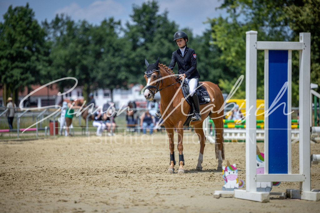 20260704-_3LI8990 | Tierfotografie Pferde, Hunde, Katzen, Haustiere.
Turnierfotografie Reitturniere, Reiten, Springreiten, Dressur in Hanau, dem Main-Kinzig-Kreis und dem Rhein-Main- Gebiet um Frankfurt