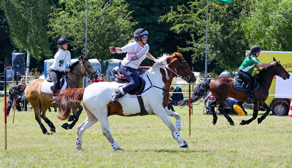 IMG_1601 | Reitsport Reiten